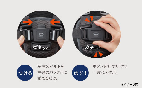 イージーベルト